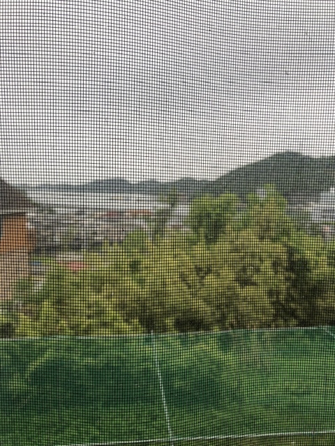 雨